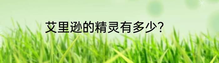 艾里逊的精灵有多少？