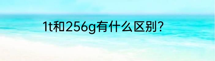 1t和256g有什么区别？