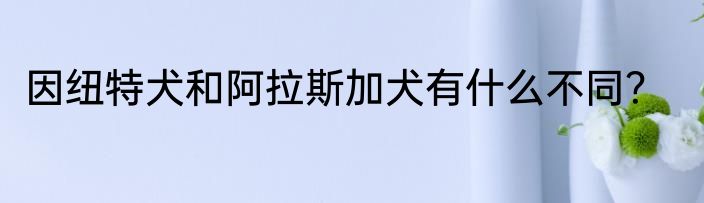 因纽特犬和阿拉斯加犬有什么不同？