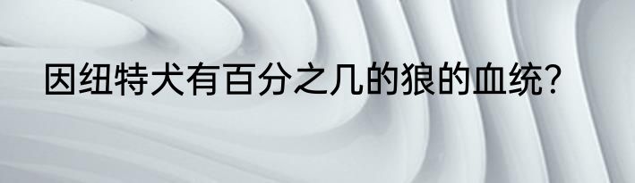 因纽特犬有百分之几的狼的血统？