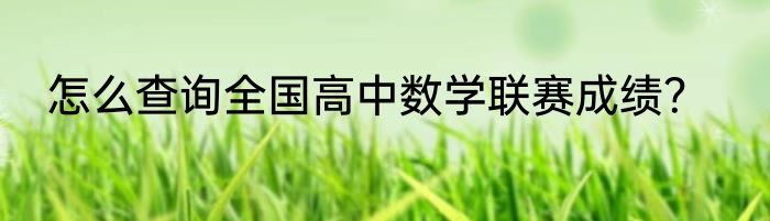 怎么查询全国高中数学联赛成绩？