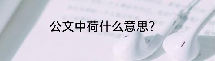 公文中荷什么意思？