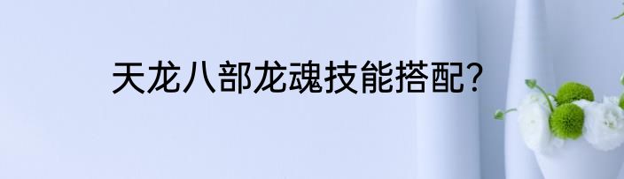 天龙八部龙魂技能搭配？