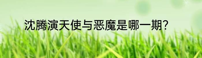 沈腾演天使与恶魔是哪一期？