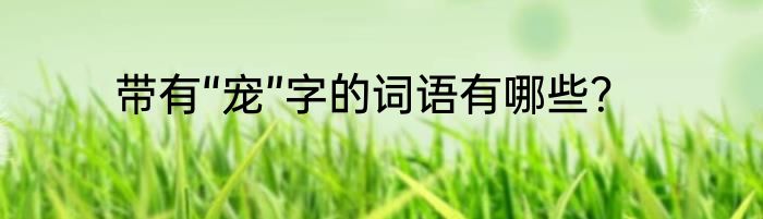 带有“宠”字的词语有哪些？