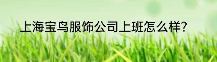 上海宝鸟服饰公司上班怎么样？