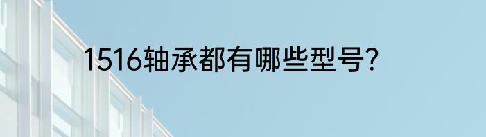 1516轴承都有哪些型号？