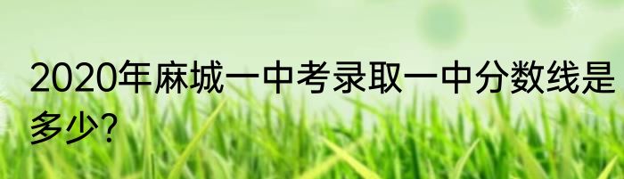 2020年麻城一中考录取一中分数线是多少？