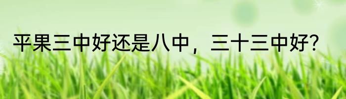 平果三中好还是八中，三十三中好？