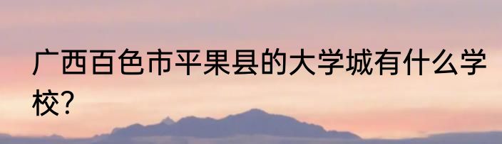 广西百色市平果县的大学城有什么学校？