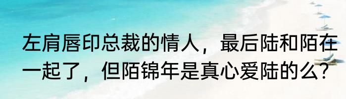 左肩唇印总裁的情人，最后陆和陌在一起了，但陌锦年是真心爱陆的么？
