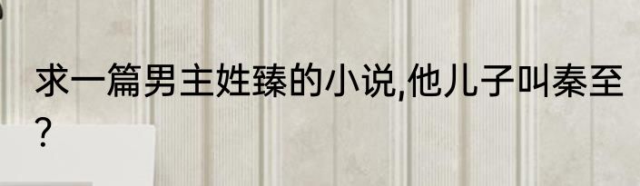 求一篇男主姓臻的小说,他儿子叫秦至？