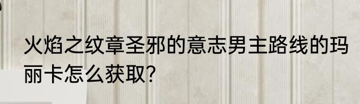 火焰之纹章圣邪的意志男主路线的玛丽卡怎么获取？