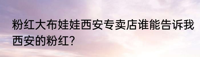 粉红大布娃娃西安专卖店谁能告诉我西安的粉红？