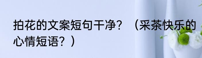 拍花的文案短句干净？（采茶快乐的心情短语？）