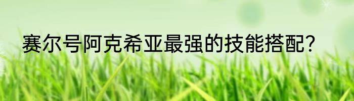 赛尔号阿克希亚最强的技能搭配？