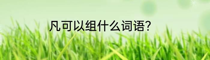 凡可以组什么词语？