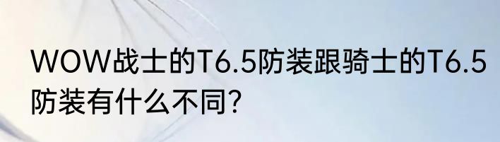 WOW战士的T6.5防装跟骑士的T6.5防装有什么不同？