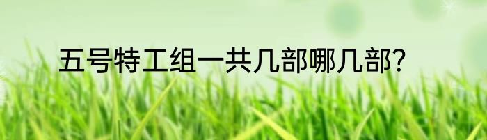 五号特工组一共几部哪几部？