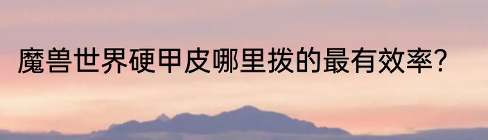 魔兽世界硬甲皮哪里拨的最有效率？