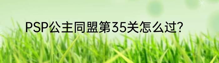 PSP公主同盟第35关怎么过？