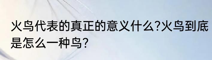 火鸟代表的真正的意义什么?火鸟到底是怎么一种鸟？