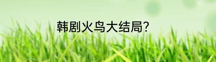 韩剧火鸟大结局？