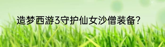 造梦西游3守护仙女沙僧装备？