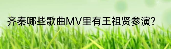 齐秦哪些歌曲MV里有王祖贤参演？