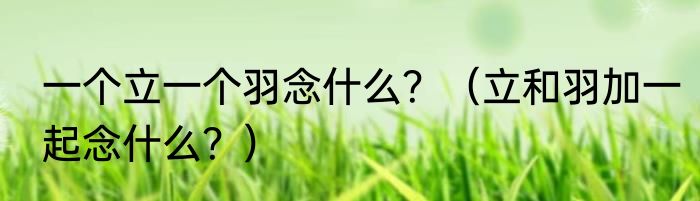 一个立一个羽念什么？（立和羽加一起念什么？）