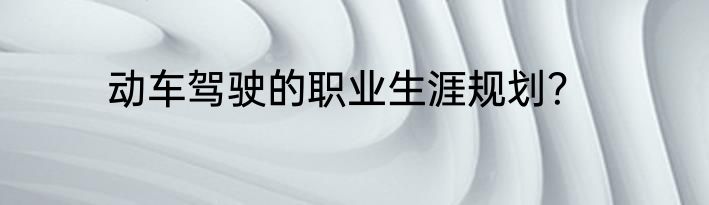 动车驾驶的职业生涯规划？