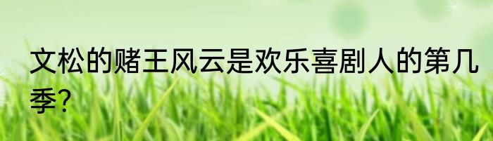 文松的赌王风云是欢乐喜剧人的第几季？