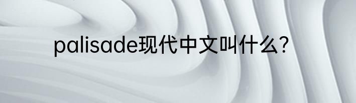 palisade现代中文叫什么？