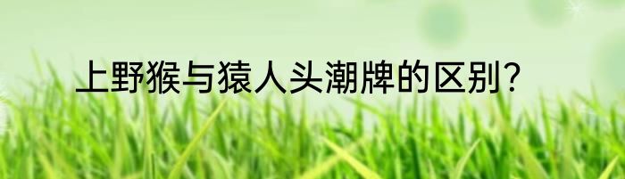 上野猴与猿人头潮牌的区别？