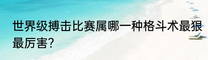 世界级搏击比赛属哪一种格斗术最狠最厉害？