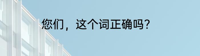 您们，这个词正确吗？