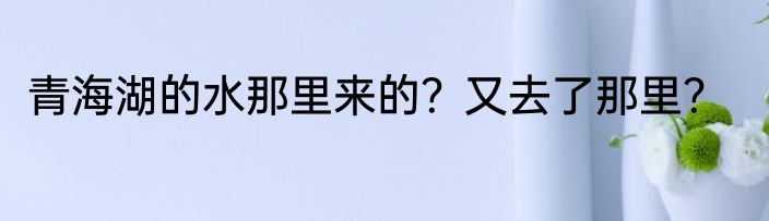 青海湖的水那里来的？又去了那里？