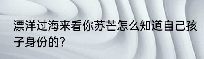 漂洋过海来看你苏芒怎么知道自己孩子身份的？