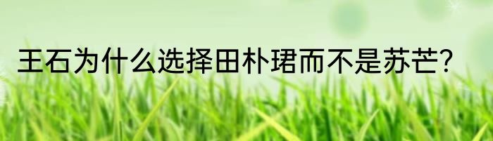 王石为什么选择田朴珺而不是苏芒？
