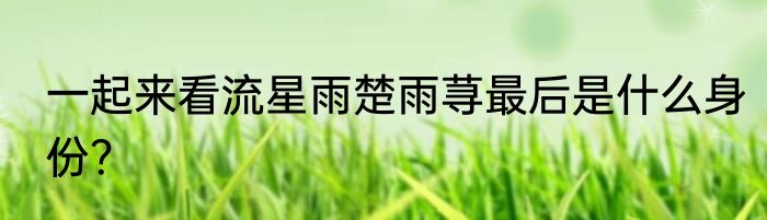 一起来看流星雨楚雨荨最后是什么身份？