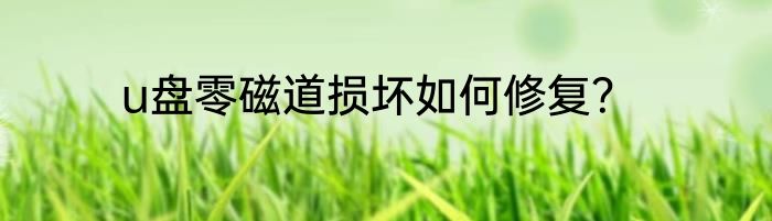 u盘零磁道损坏如何修复？