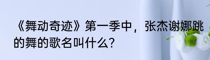 《舞动奇迹》第一季中，张杰谢娜跳的舞的歌名叫什么？