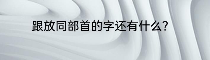跟放同部首的字还有什么？