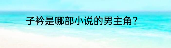 子衿是哪部小说的男主角？