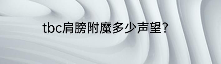 tbc肩膀附魔多少声望？