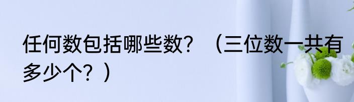 任何数包括哪些数？（三位数一共有多少个？）