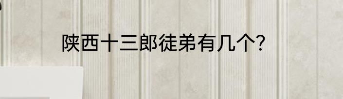 陕西十三郎徒弟有几个？