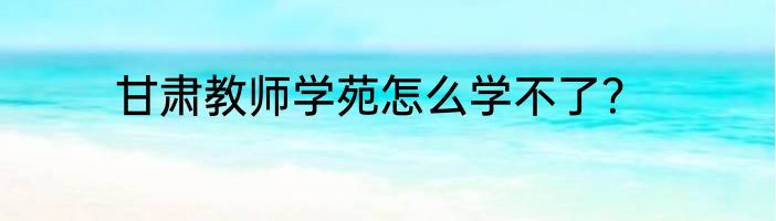 甘肃教师学苑怎么学不了？