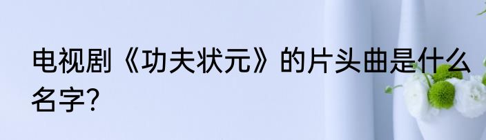 电视剧《功夫状元》的片头曲是什么名字？
