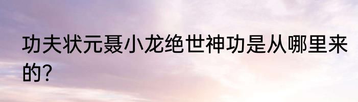 功夫状元聂小龙绝世神功是从哪里来的？